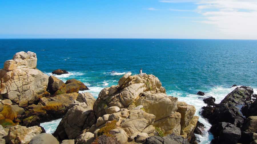 ISLA NEGRA AND ALGARROBO WITH VINICOLA UNDURRAGA - TOUR : CHILE - From Santiago to the Pacific Coast