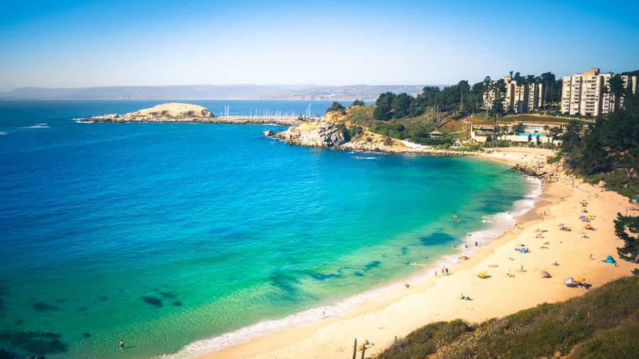 ISLA NEGRA AND ALGARROBO WITH VINICOLA UNDURRAGA - TOUR : CHILE - Undurraga Winery and Four Chilean Wines