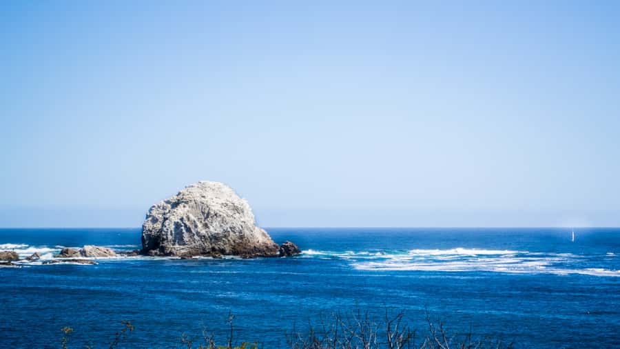ISLA NEGRA AND ALGARROBO WITH VINICOLA UNDURRAGA - TOUR : CHILE - Who Will Enjoy This Day Most?