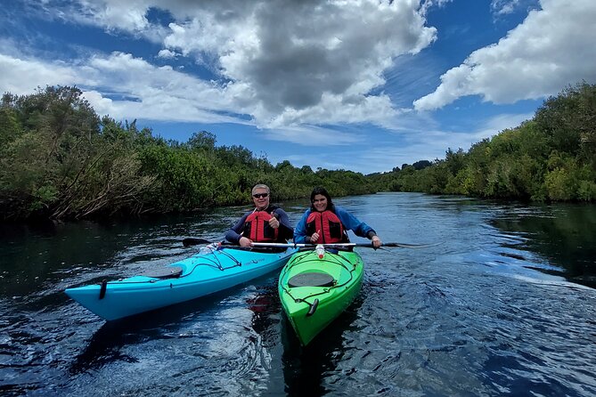 Kayak through the Sunken Forest of the Maullín River - Paddling into the Maullín River’s sunken forest