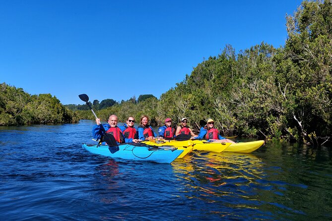 Kayak through the Sunken Forest of the Maullín River - What you get for $95