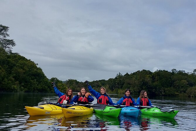 Kayak through the Sunken Forest of the Maullín River - How the four-hour outing works