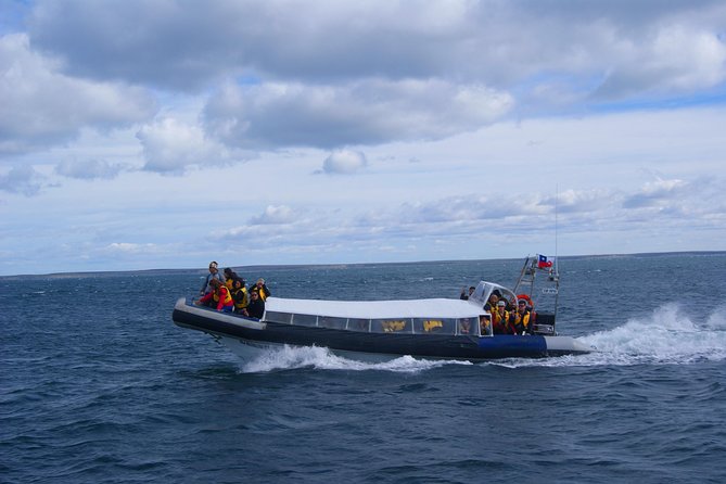 Magdalena Island Penguin Tour by Boat from Punta Arenas - The 30-minute transfer to the pier