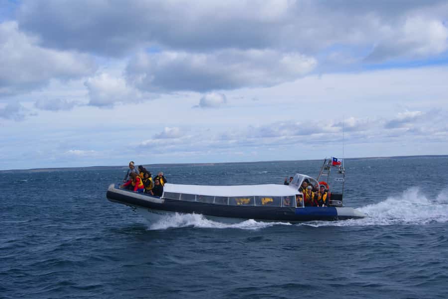 Magdalena Island Penguin Tour by Boat from Punta Arenas - The lighthouse and island interpretation center