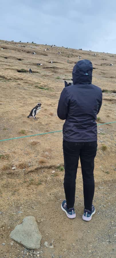 Magdalena Island: Walk with the penguins - Practical ways to make the day better