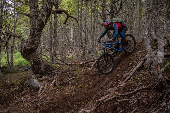 Mountain Bike Adventure in Punta Arenas - Key points to know before you book