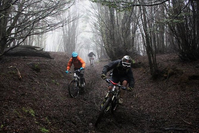 Mountain Bike Adventure in Punta Arenas - The views beyond the trail