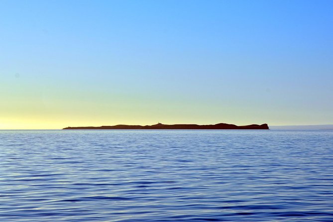 Navigation Magdalena Island and Marta - The Strait of Magellan is part of the show