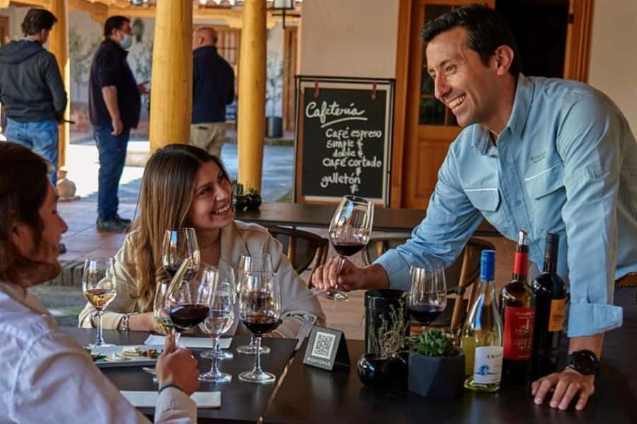 Palmilla: Wine and Flavors Tour - Seeing how MontGras turns grapes into wine