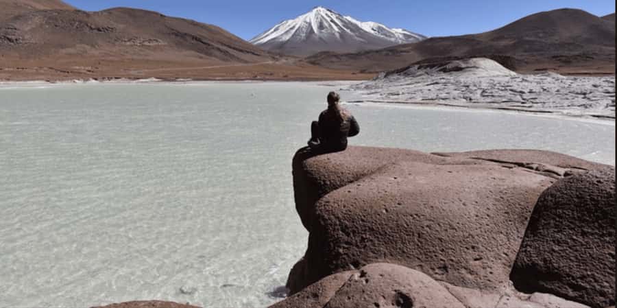 Piedras Rojas, Altiplanics Lagoons & Salar Full-Day Tour - Key points at a glance