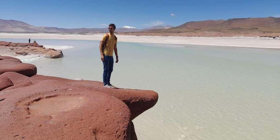 Piedras Rojas, Altiplanics Lagoons & Salar Full-Day Tour - A big Atacama day for $85