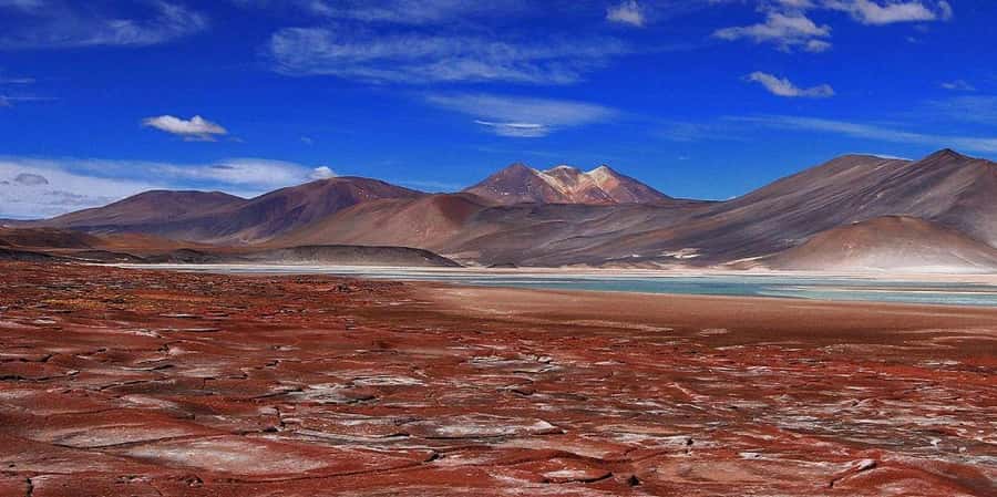 Piedras Rojas, Altiplanics Lagoons & Salar Full-Day Tour - Miscanti and Miñiques: two lagoons, different moods