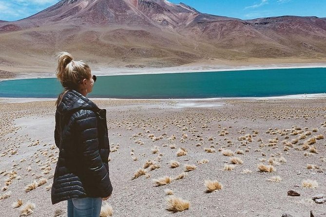 Piedras Rojas and Altiplanic Tour - Why this Atacama day trip is worth considering
