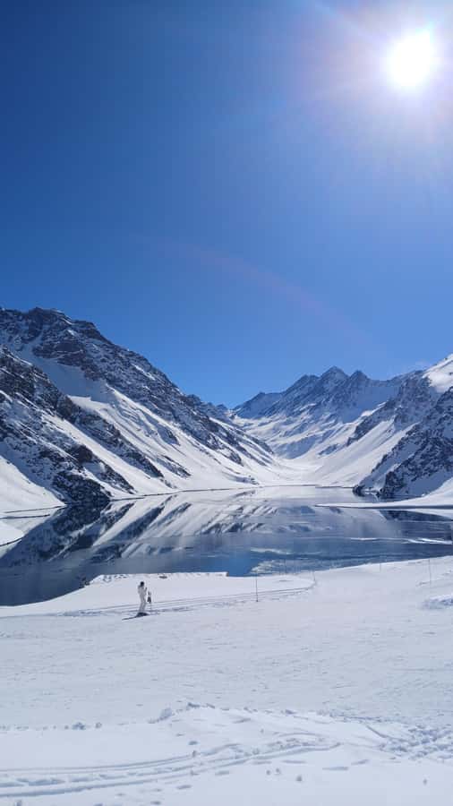 Portillo + Laguna del Inca with picnic - Key points to know before booking