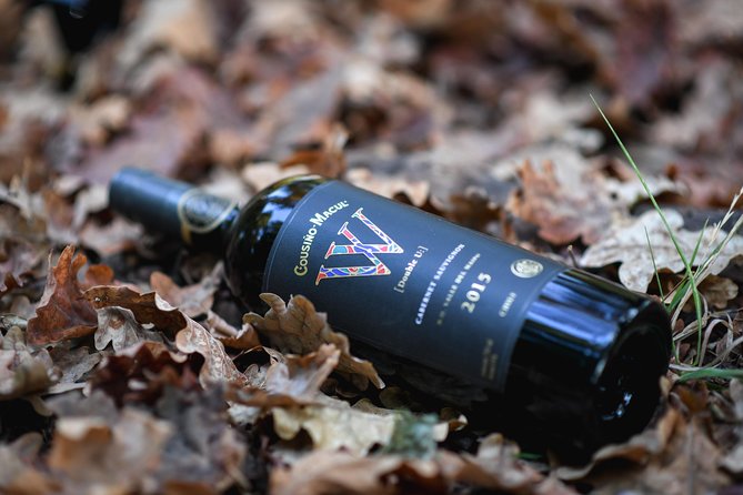 "Premium Wine Tour" Viña Cousiño Macul Official english - Key points to know before booking