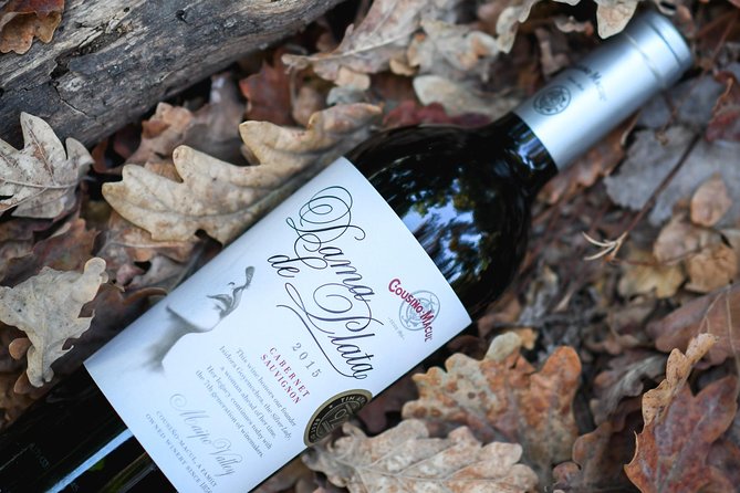 "Premium Wine Tour" Viña Cousiño Macul Official english - The guides shape the experience