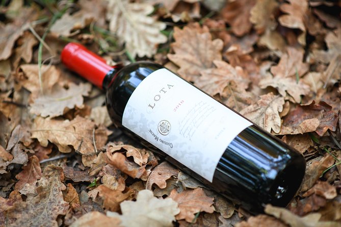 "Premium Wine Tour" Viña Cousiño Macul Official english - How much value do you get for $45?