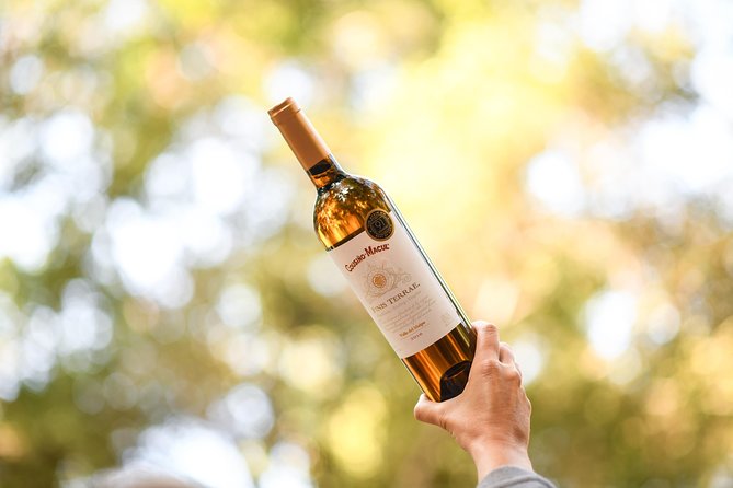 "Premium Wine Tour" Viña Cousiño Macul Official english - Who will enjoy this visit most?