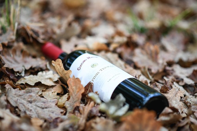 "Premium Wine Tour" Viña Cousiño Macul Official english - Practical details that affect your day