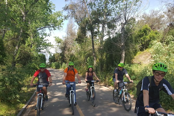 Private Full-Day Bike Tour of Santiago Cultural 5-6 hrs - La Moneda and Constitution Square