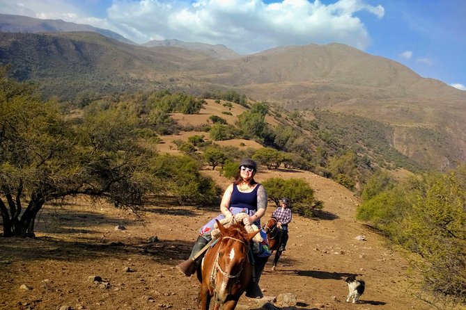 Private Horseback Adventure in the Andes, with Picnic & Wine - A ride that works for beginners, with options for experienced riders
