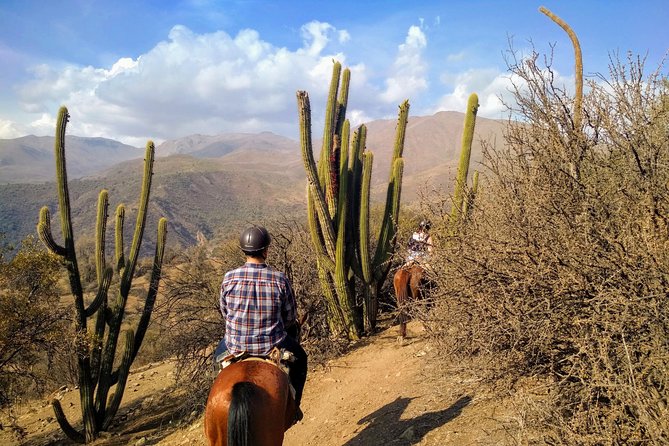 Private Horseback Adventure in the Andes, with Picnic & Wine - Summer sunset and evening rides