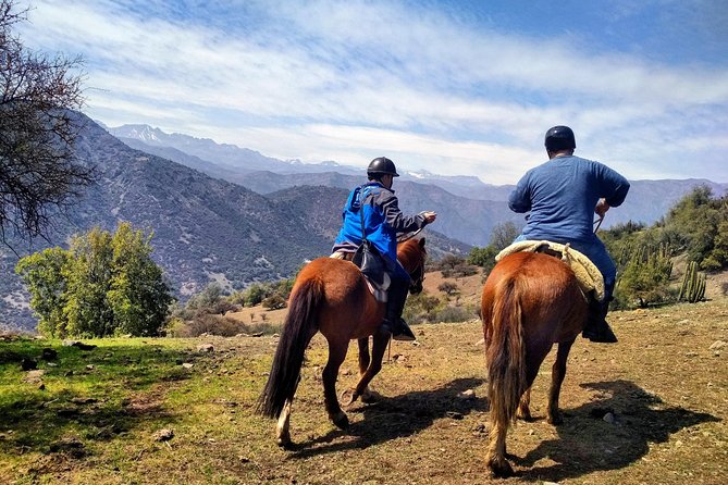 Private Horseback Adventure in the Andes, with Picnic & Wine - Choosing a Criollo horse and getting comfortable in the saddle