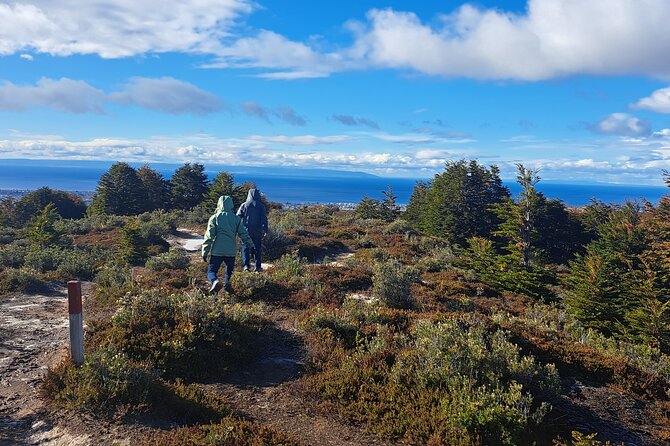 Private Patagonian Forest Hike in Punta Arenas: 4 Hour - Key points before you book