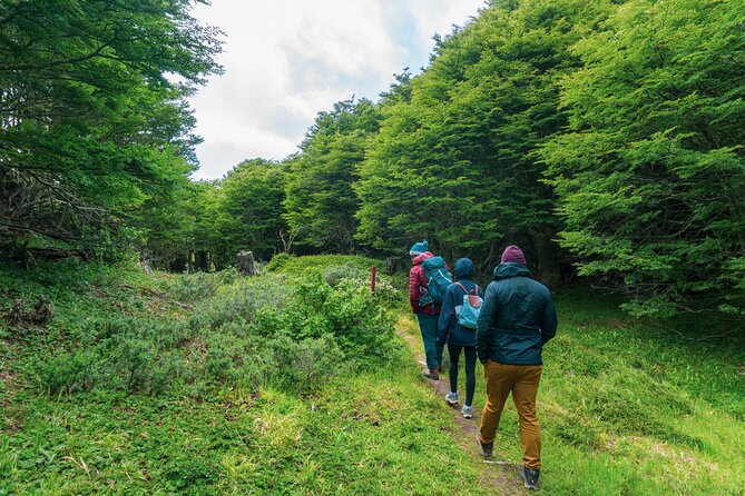 Private Patagonian Forest Hike in Punta Arenas: 4 Hour - Is $300 per person fair?