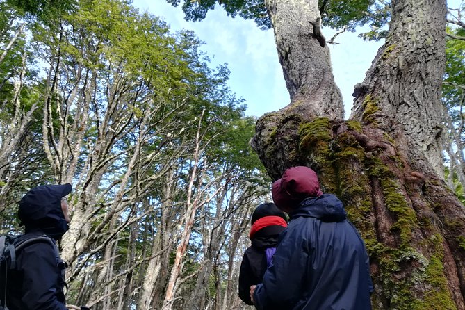 Private Patagonian Forest Hike in Punta Arenas: 4 Hour - Jamie, Manuel, and the value of a personal guide