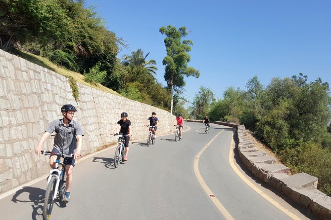 Private San Cristobal Hill & Metropolitan Park Santiago Bike Tour - The descent reveals Santiago’s modern side