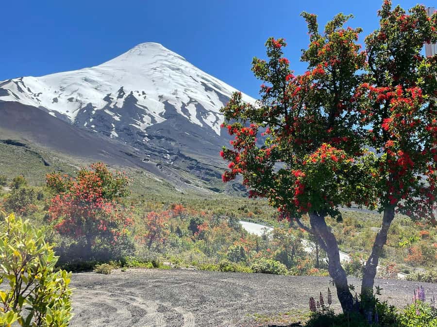 Puerto Montt: Osorno Volcano Tour Shore Tour in Private - Starting in Puerto Montt: a quick look at the port city