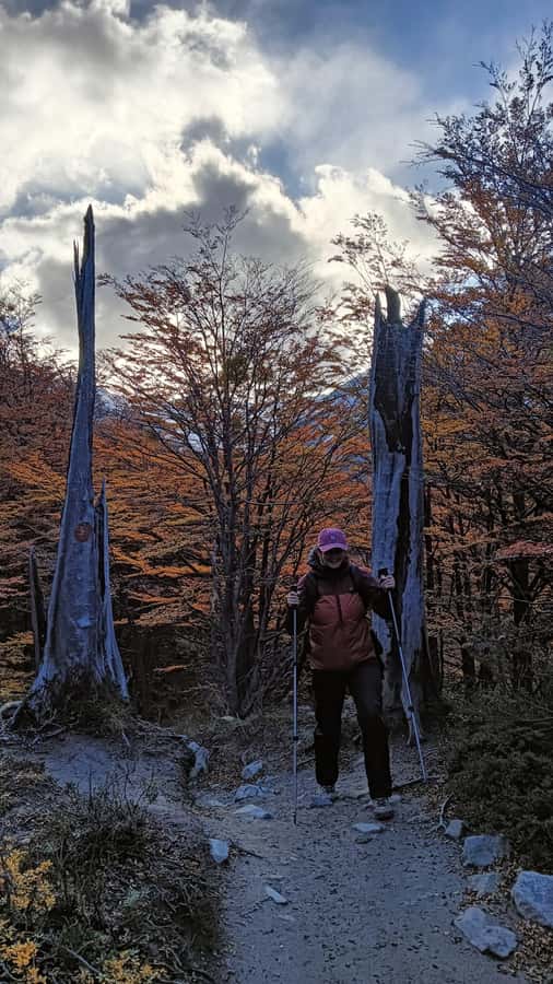 Puerto Natales: Base of the Towers Trekking Experience - The moraine climb is the hard part