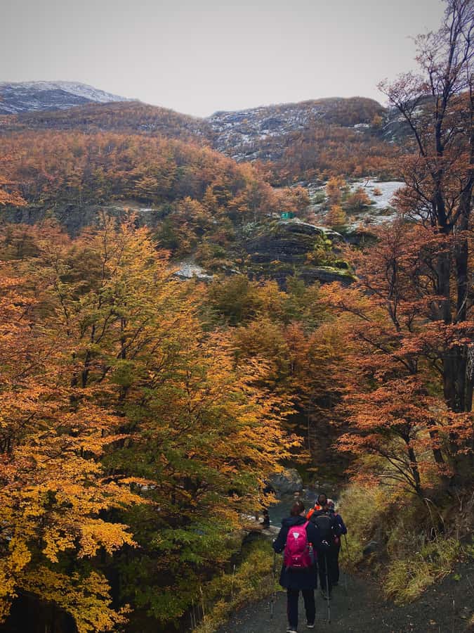 Puerto Natales: Base of the Towers Trekking Experience - The return route and the late ride home