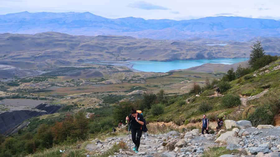 Puerto Natales: Base Torres Small Group Trekking - Forest trails, mountain views, and the hard final climb
