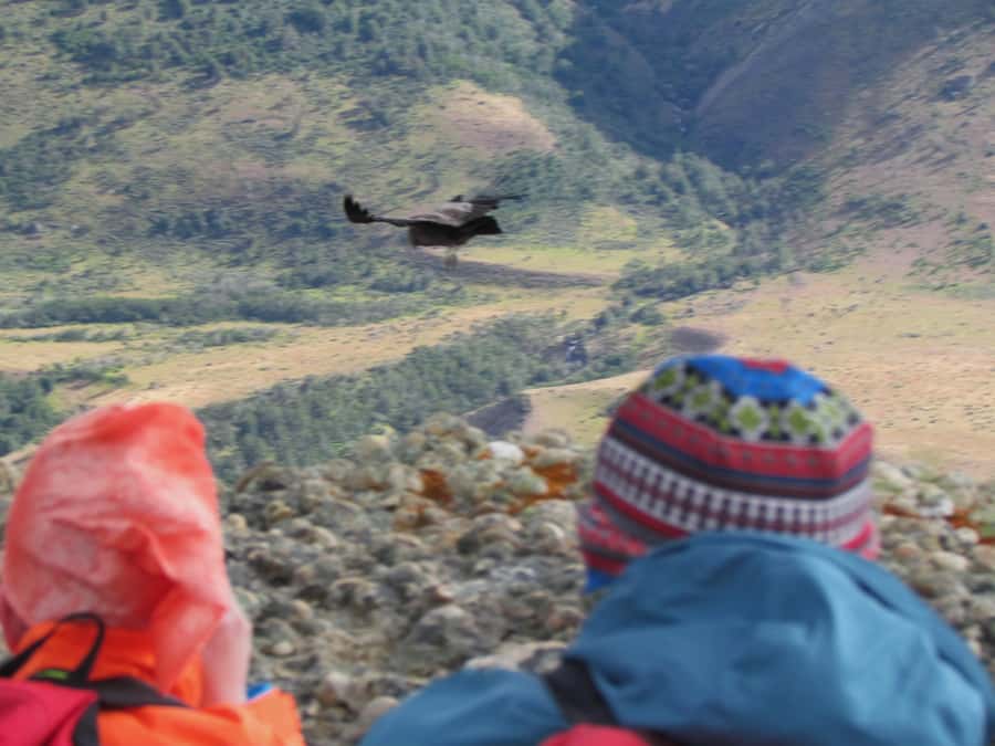 Puerto Natales: Cerro Benitez Half-Day Hike with Condors - Opening views across valleys and mountains