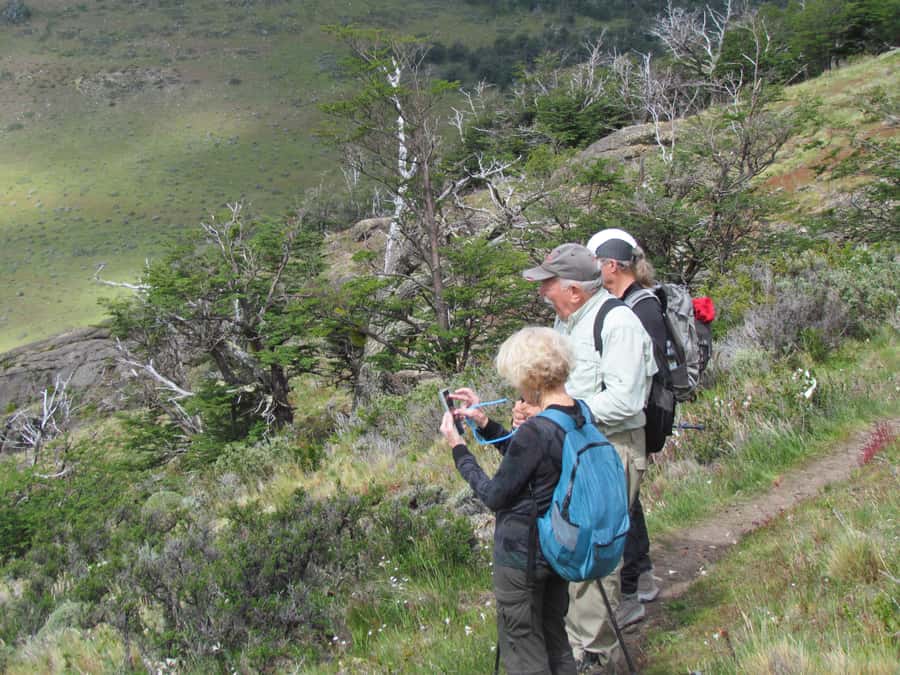 Puerto Natales: Cerro Benitez Half-Day Hike with Condors - The Lake Sofia viewpoint at the top