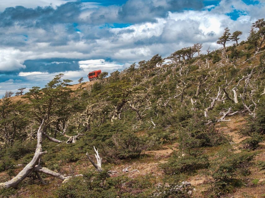 Puerto Natales: Cerro Dorotea 8x8 Tour with Panoramic Views - Who will enjoy this short Patagonia experience