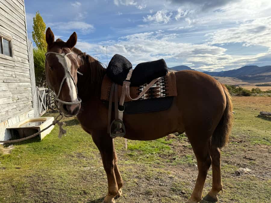 Puerto Natales: Full Day Horse Riding to the Mountains - Key points to know before you book