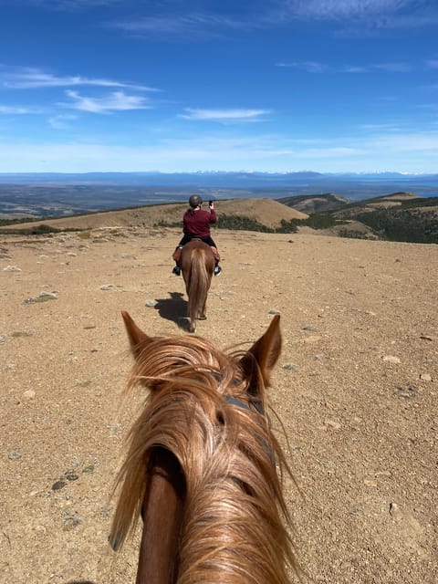 Puerto Natales: Full Day Horse Riding to the Mountains - Three hours through forests, lakes, and river crossings