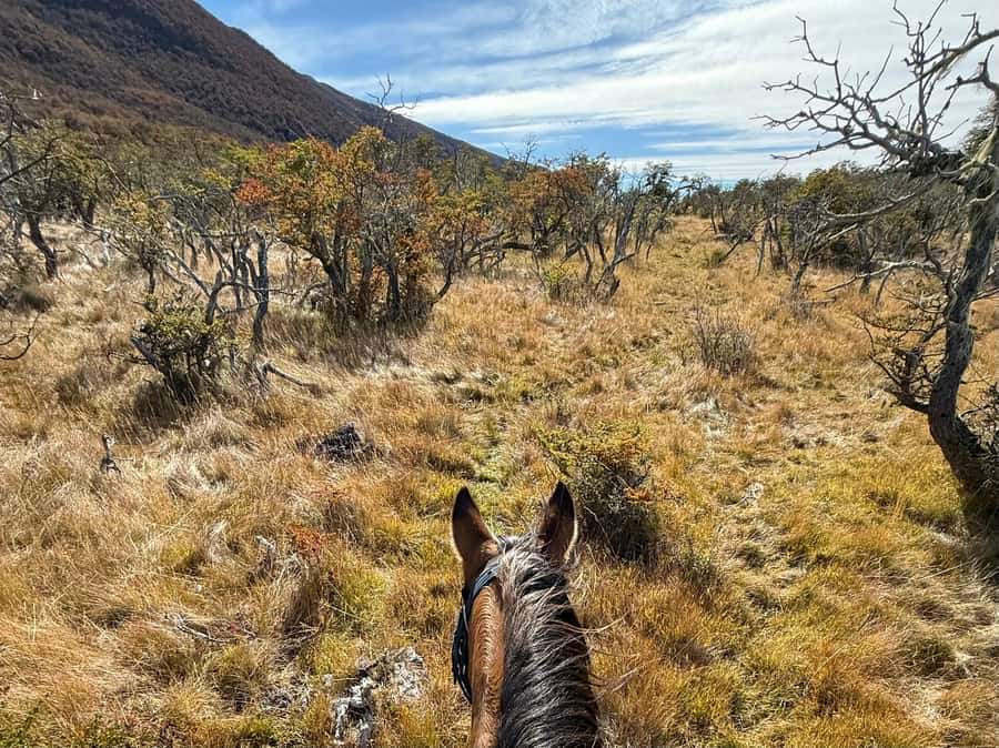 Puerto Natales: Full Day Horse Riding to the Mountains - A homemade picnic after the morning ride