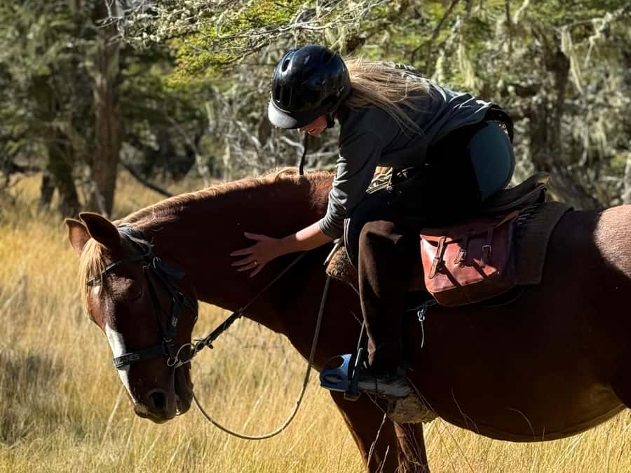 Puerto Natales: Full Day Horse Riding to the Mountains - What the $360 price buys you