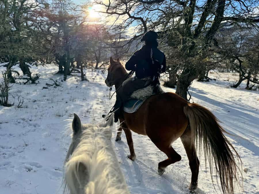Puerto Natales: Full Day Horse Riding to the Mountains - Meeting at Holaste! Specialty Coffee