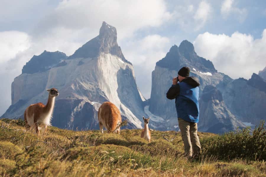 Puerto Natales: Full Day Torres del Paine + Milodon Cave - Leaving Puerto Natales and reaching the park
