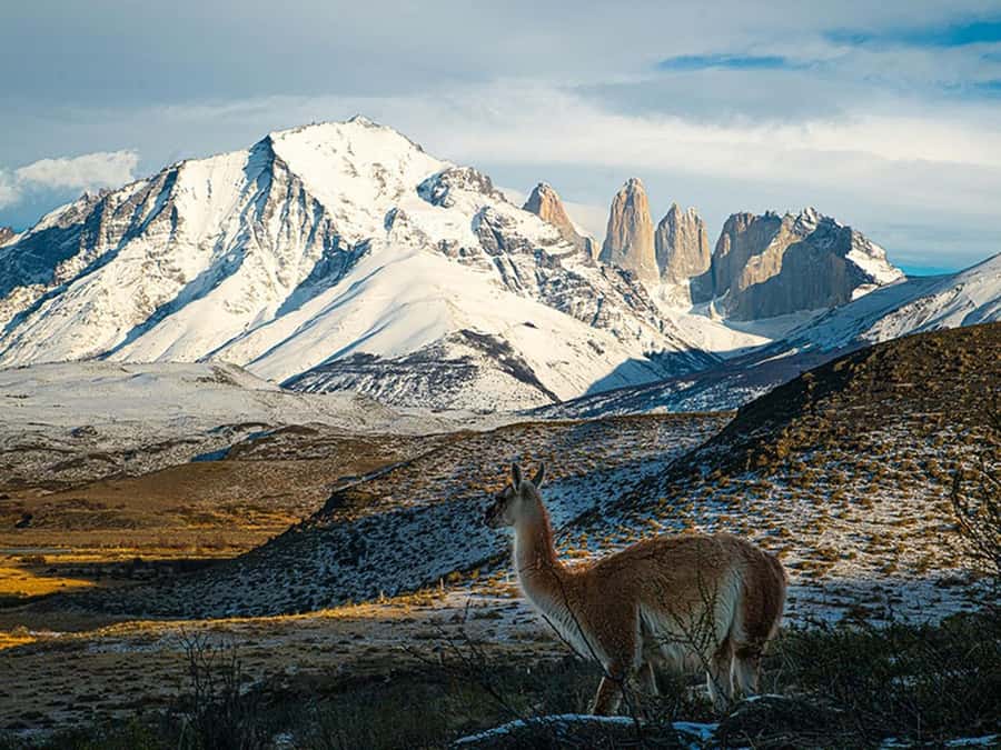 Puerto Natales: Full-Day Torres del Paine Tour - Key Things to Know Before You Go