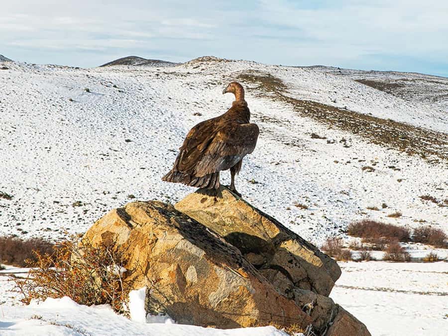 Puerto Natales: Full-Day Torres del Paine Tour - Weather, Clothing, and the Pace of the Day