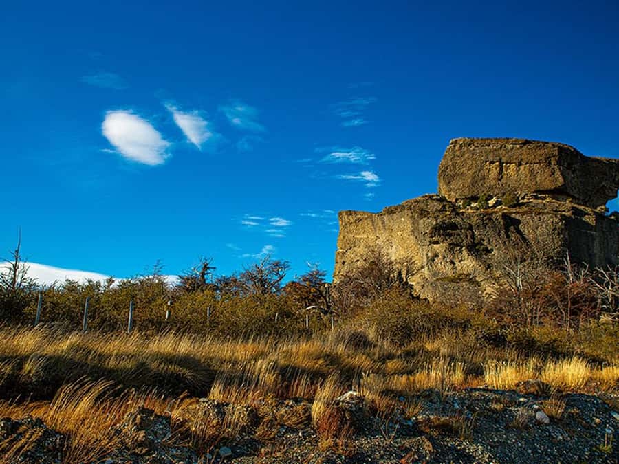 Puerto Natales: Full-Day Torres del Paine Tour - From Puerto Natales to Laguna Amarga