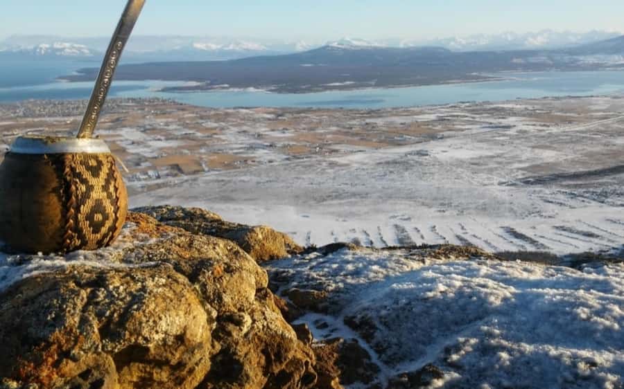 Puerto Natales: Horseback Riding to Dorotea Fjord Lookout - Three hours on horseback through forest and meadow