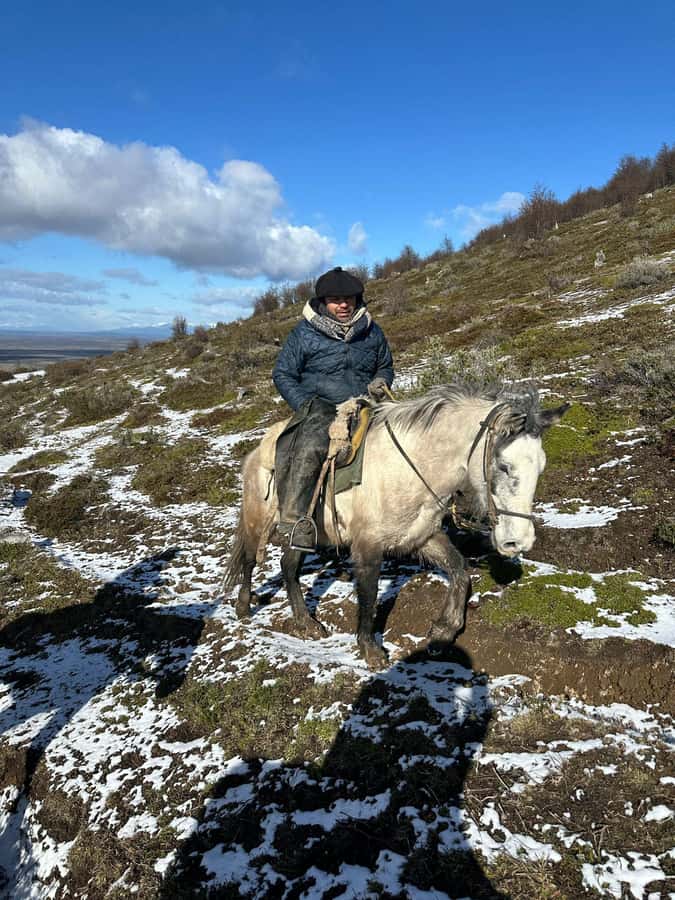 Puerto Natales: Horseback Riding to Dorotea Fjord Lookout - The gaucho-led format feels local, but Spanish matters