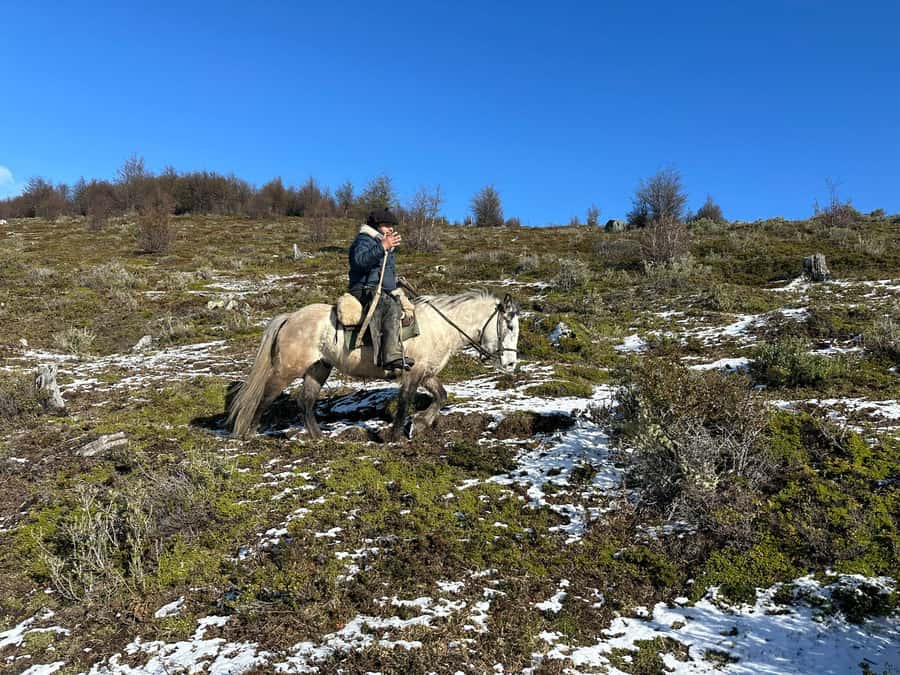 Puerto Natales: Horseback Riding to Dorotea Fjord Lookout - Hotel pickup keeps the half-day easy